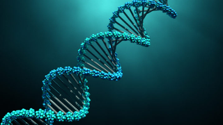 Illustration for article titled Utilizing A Home DNA Test Package